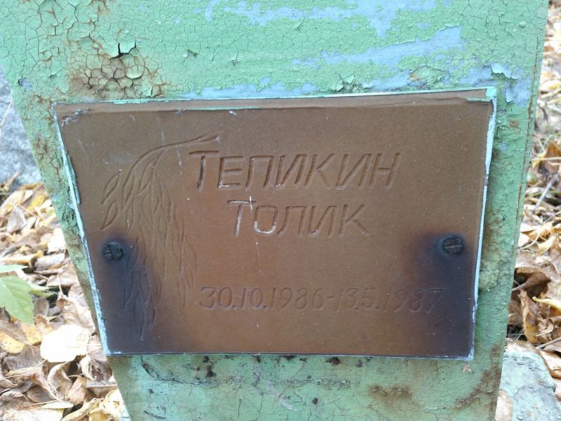 Толик Тепикин