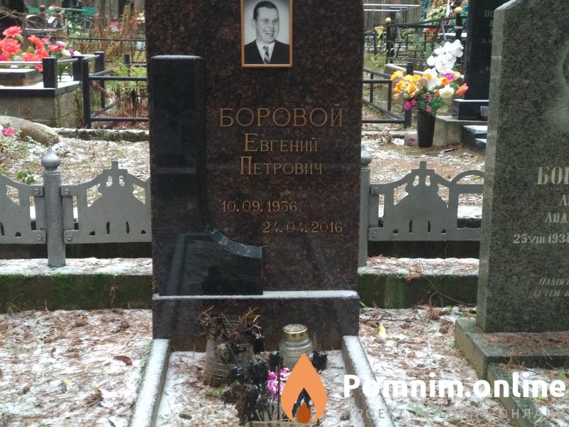 Боровой Евгений Петрович