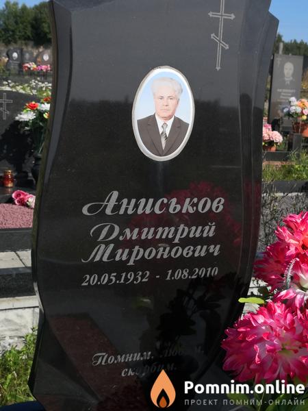 Аниськова Юлия Михайловна