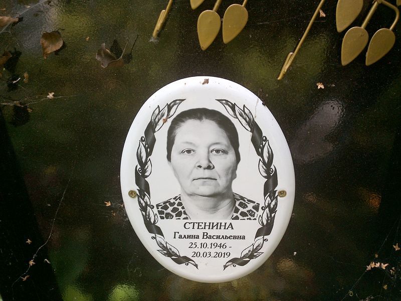 Стенина