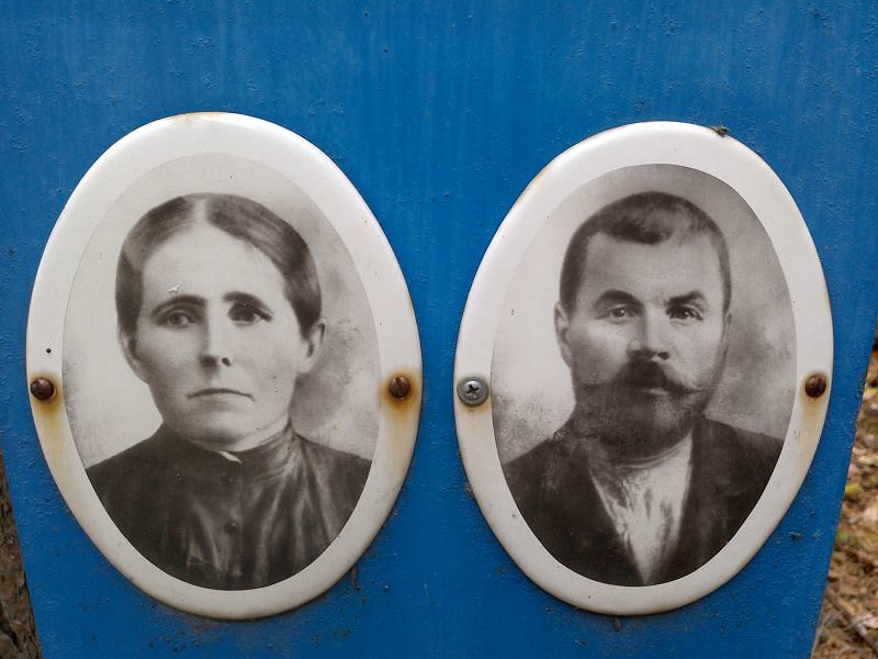 Медведева