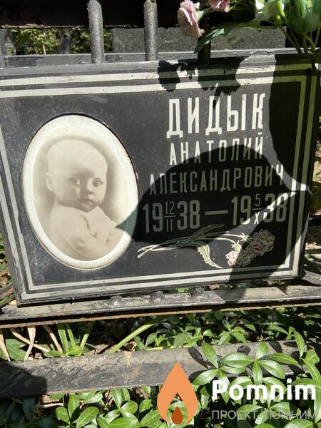 Дидык Анатолий Александрович