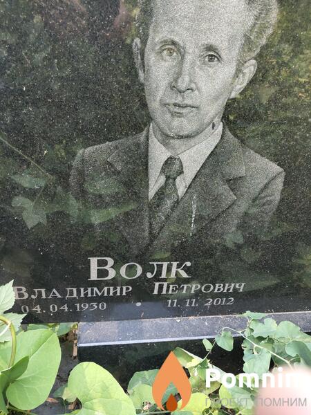 Волк Владимир Петрович