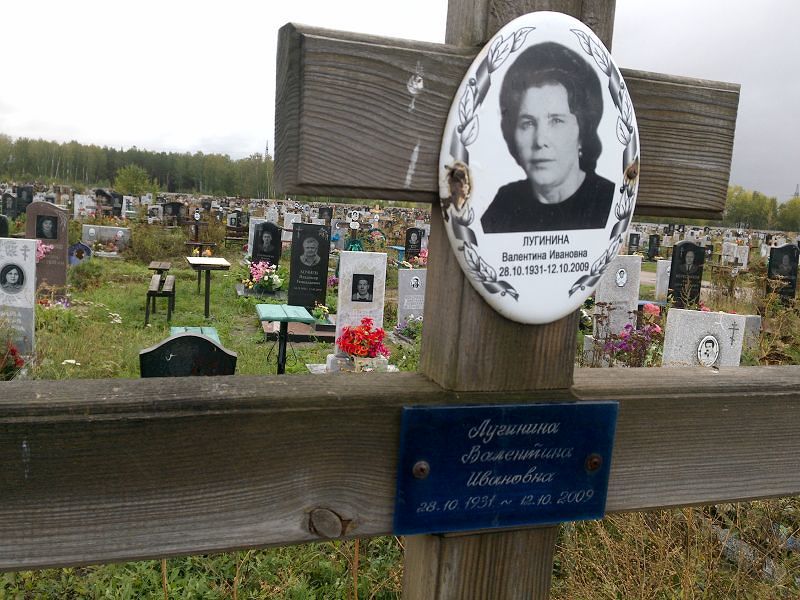 Лугинина