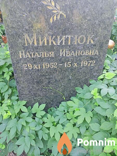 Микиток Наталья Ивановна