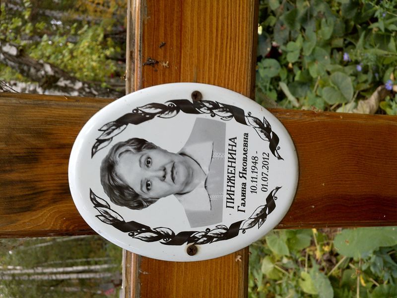 Пинженина