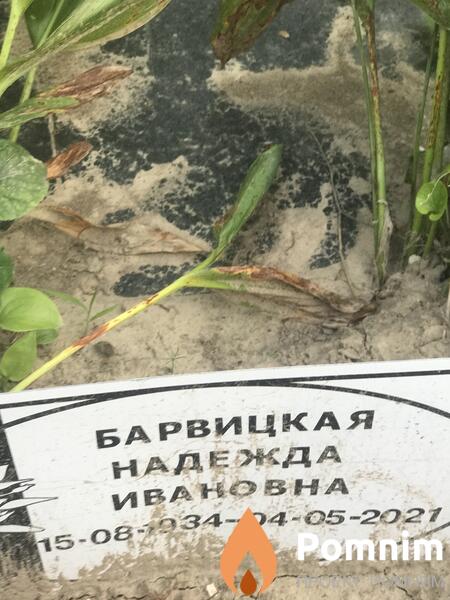 Барвицкая Надежда Ивановна