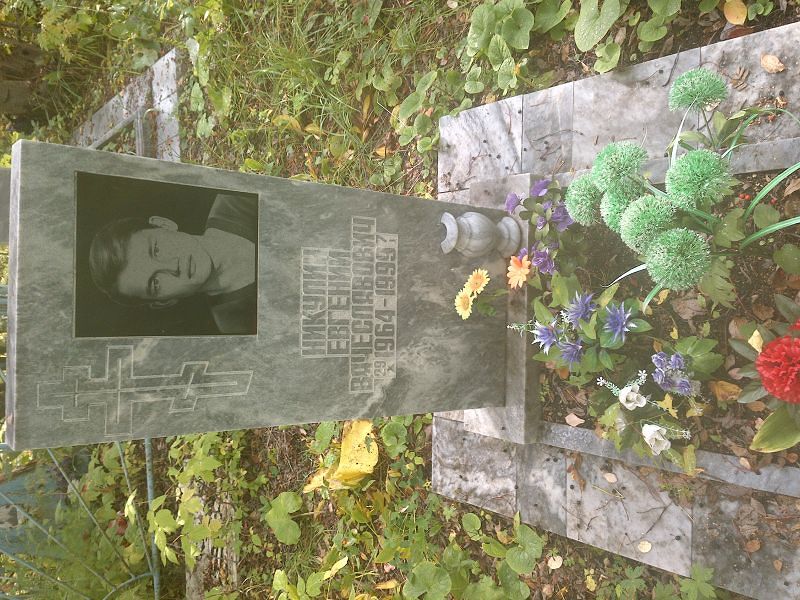 Никулин