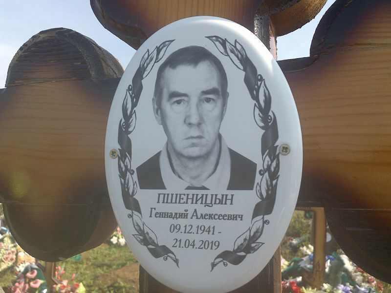 Пшеницын