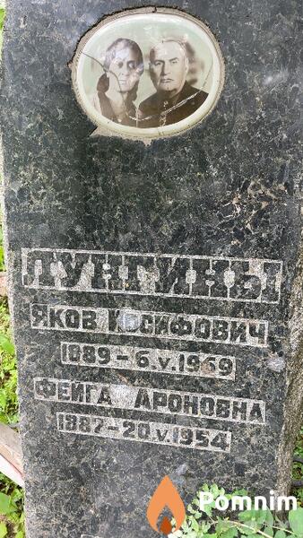 Лунгина Фейга Ароновна