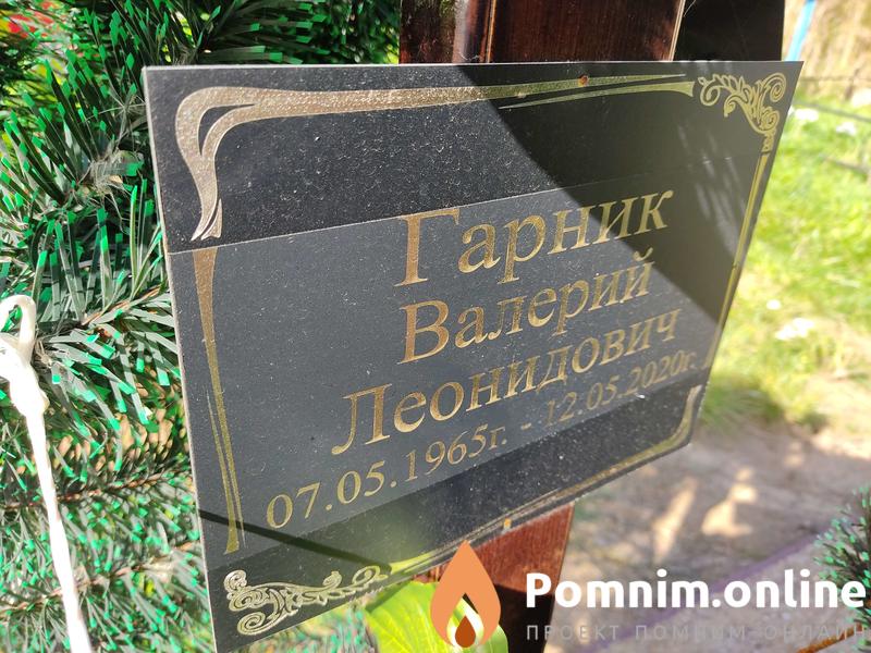 Гарник Валерий Леонидович