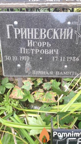Гриневский Игорь Петрович
