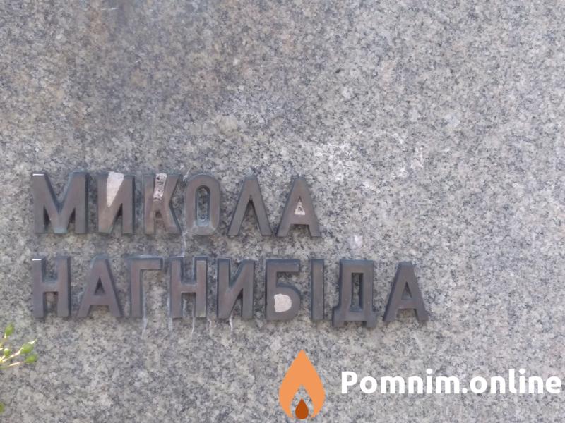 Нагнибіда Микола Львович