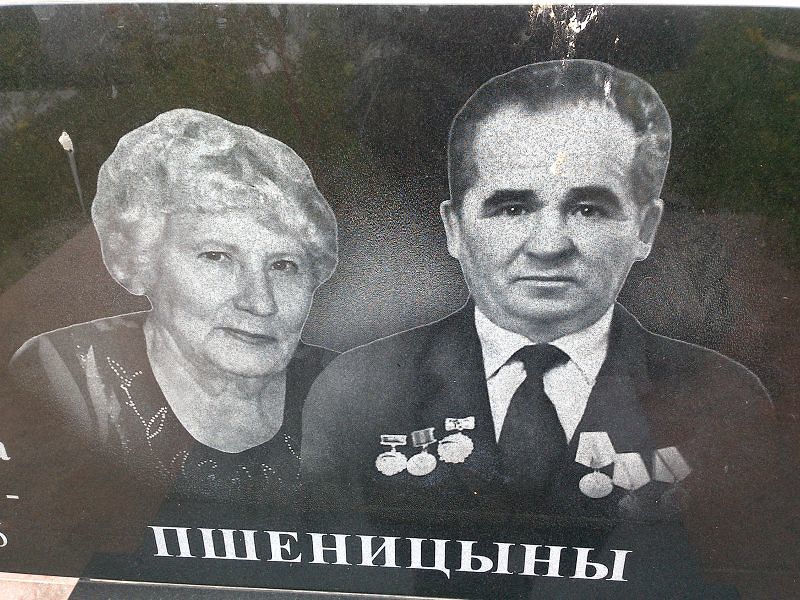 Пшеницын