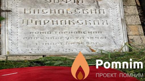 София Васильевна Тарновская
