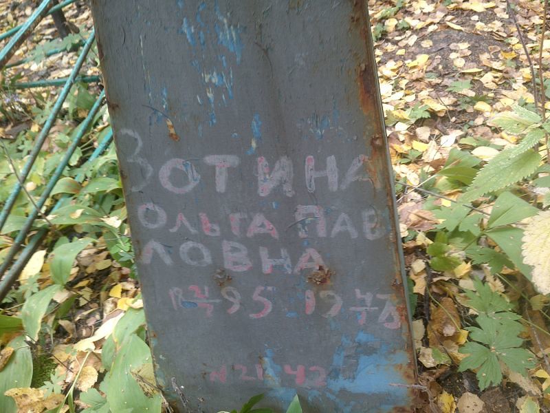 Зотина