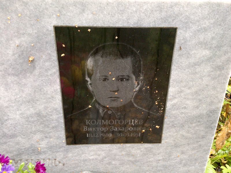 Колмогорцев