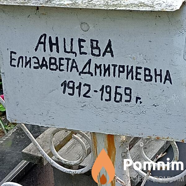 Анцева Елизавета Дмитриевна