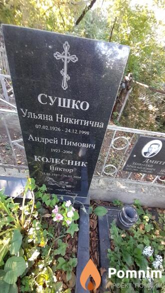 Сушко Ульяна Никитична