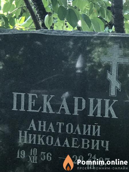 Пекарик Анатолии Николаевич