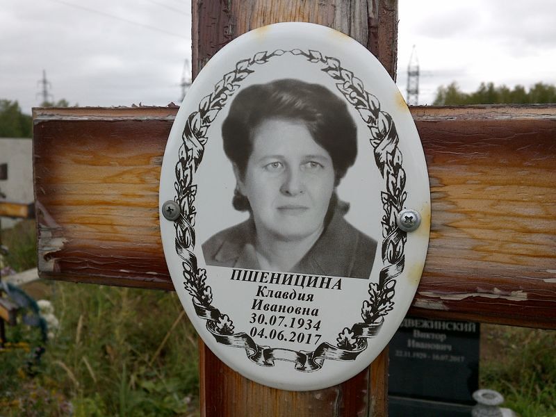 Пшеницина