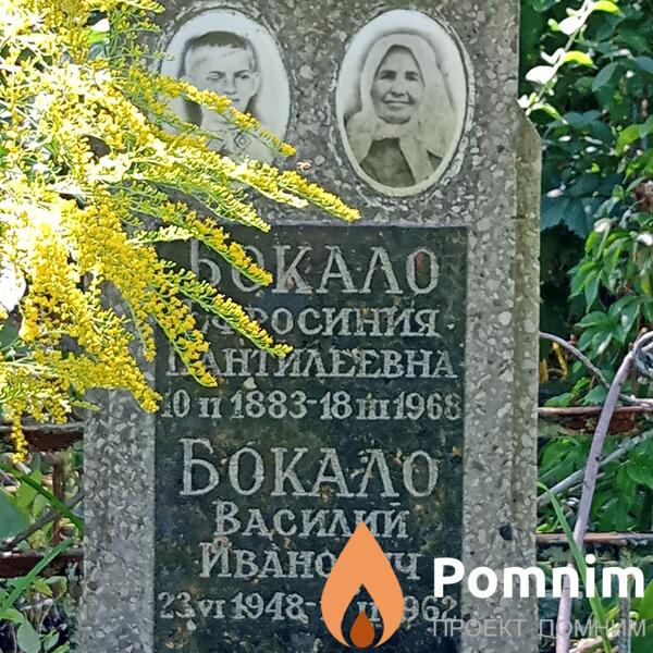 Бокало Василий Иванович