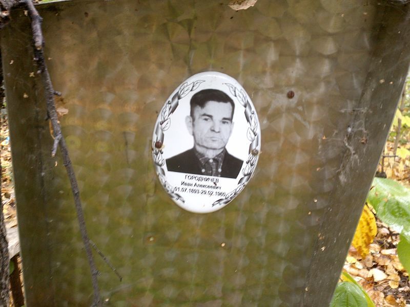 Городничев