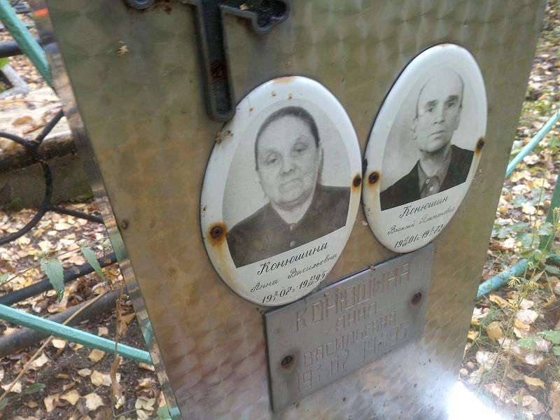 Конюшина