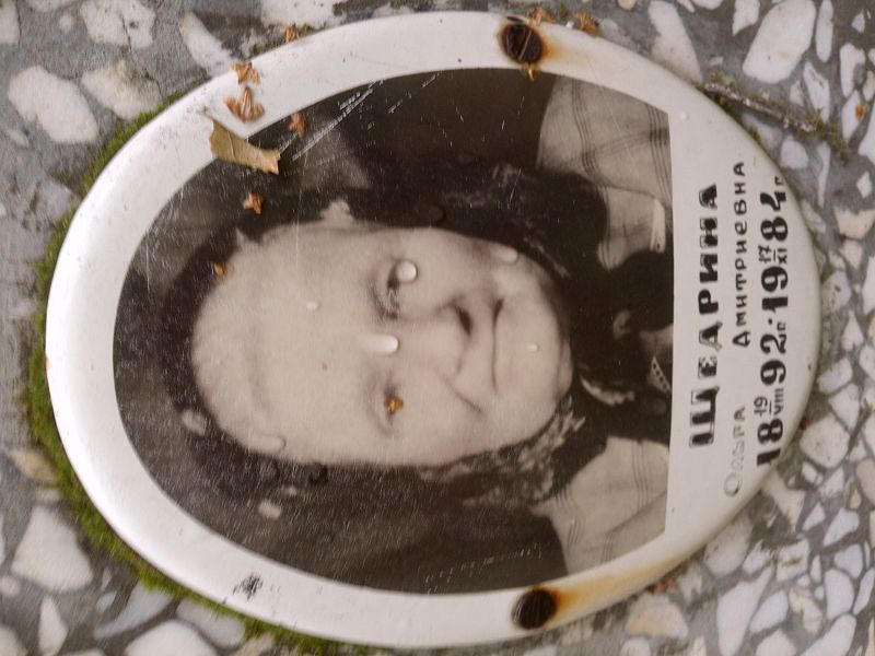Щедрина
