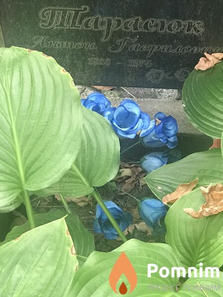 Тарасюк Антон Гаврилович