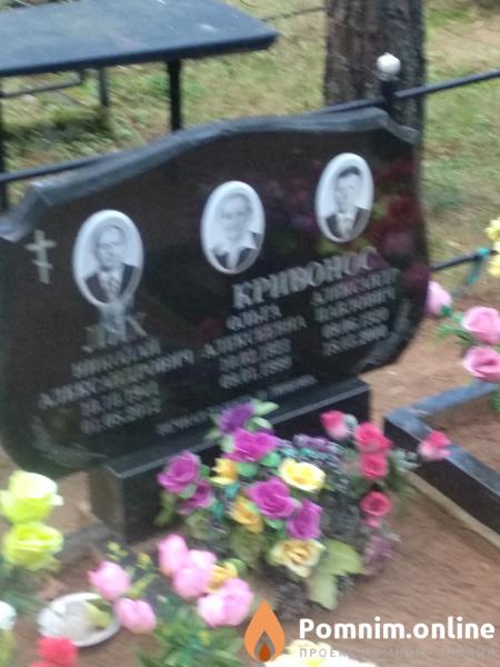 Кривонос Александр Павлович