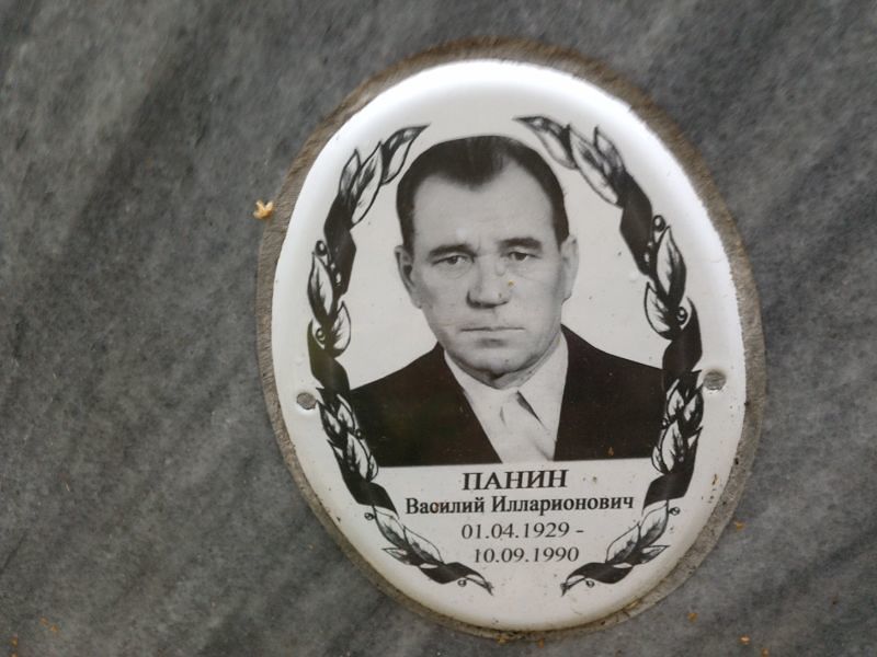 Панин