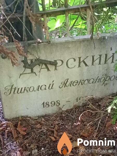 Дарский Николай Александрович