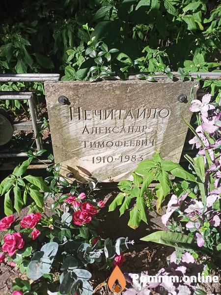 Нечитайло Александр Тимофеевич