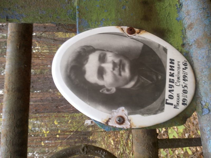 Голубкин