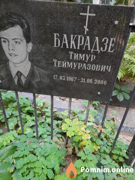 Бакрадзе Тимур Теймуразович