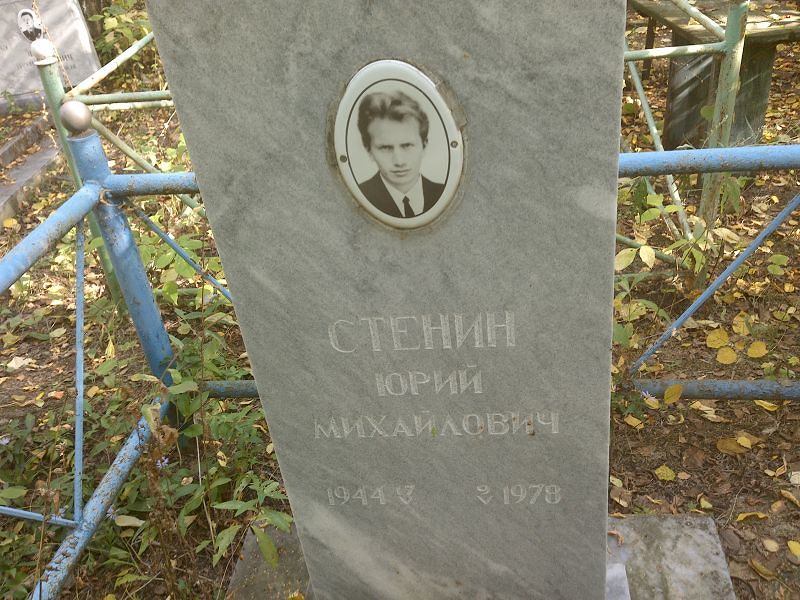 Стенин