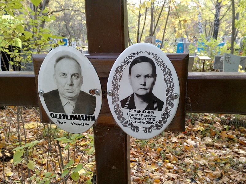 Семенихина