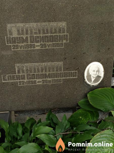 Хавина Елена Соломоновна