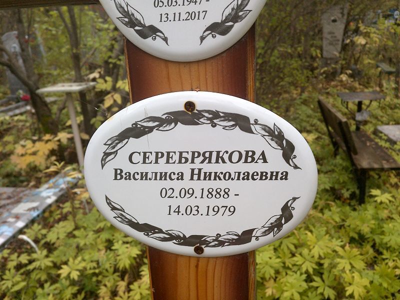 Василиса Серебрякова Николаевна
