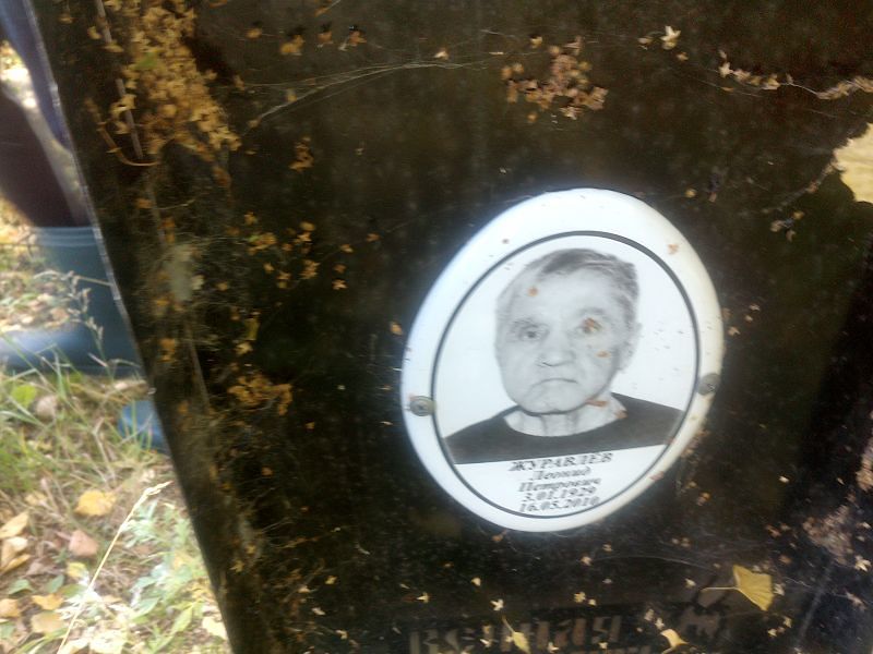 Журавлёв