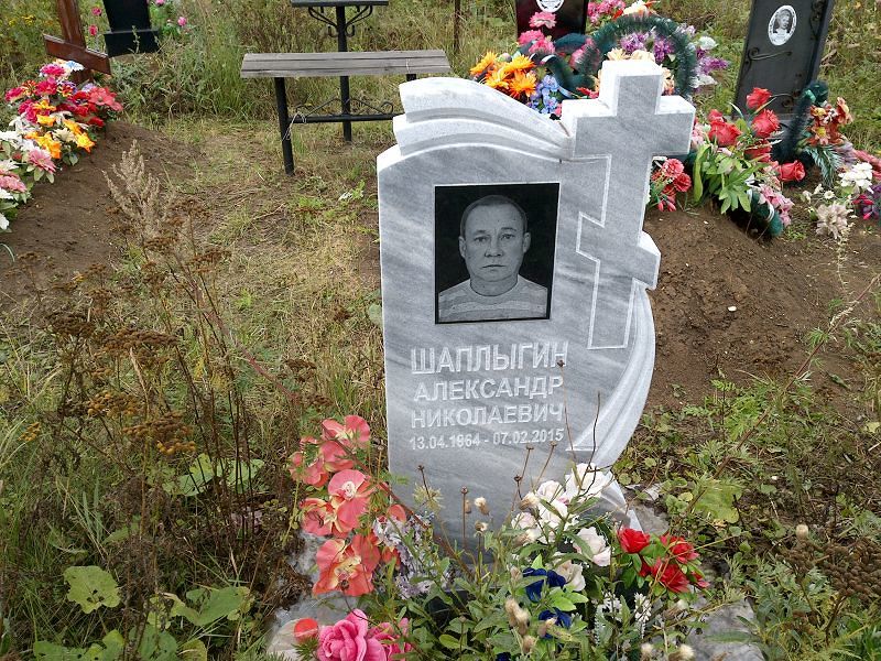 Шаплыгин