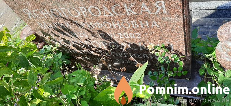 Ясногородский Виктор Георгиевич