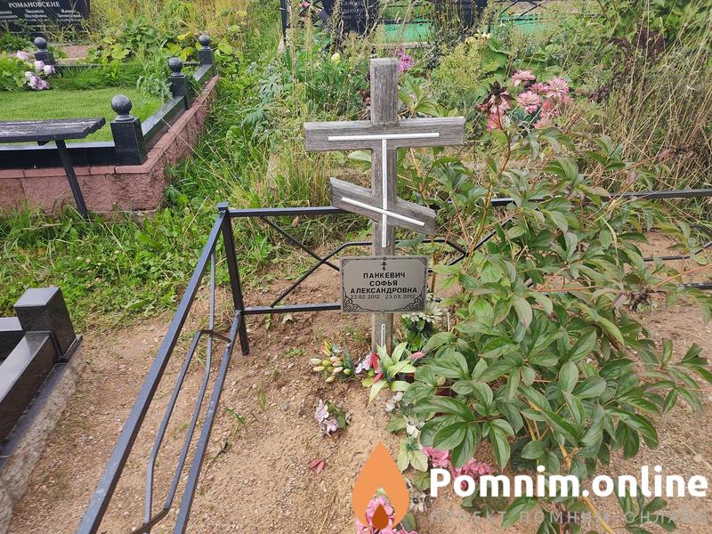 Панкевич Софья Александровна