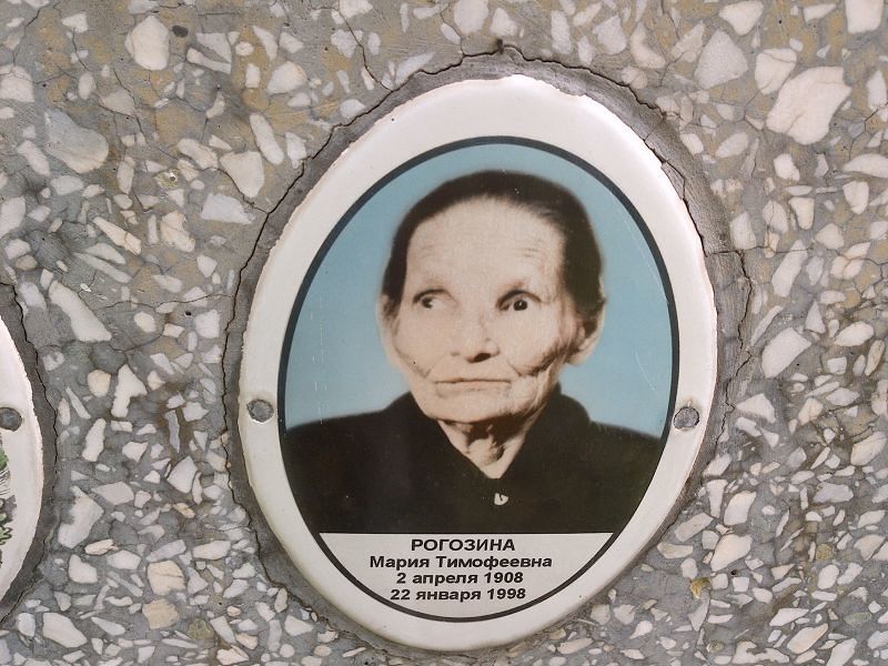 Рогозина