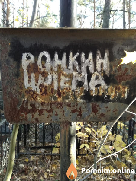 Ронкин Шлема Лейзерович