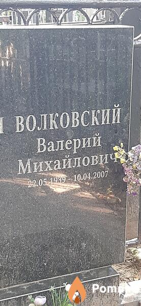Волуовский Валерий Михайлович