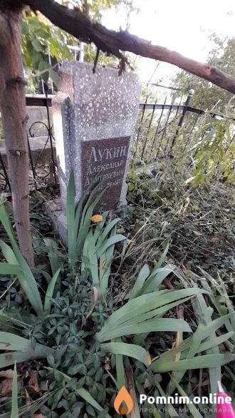 Лукин Александр Дмитриевич
