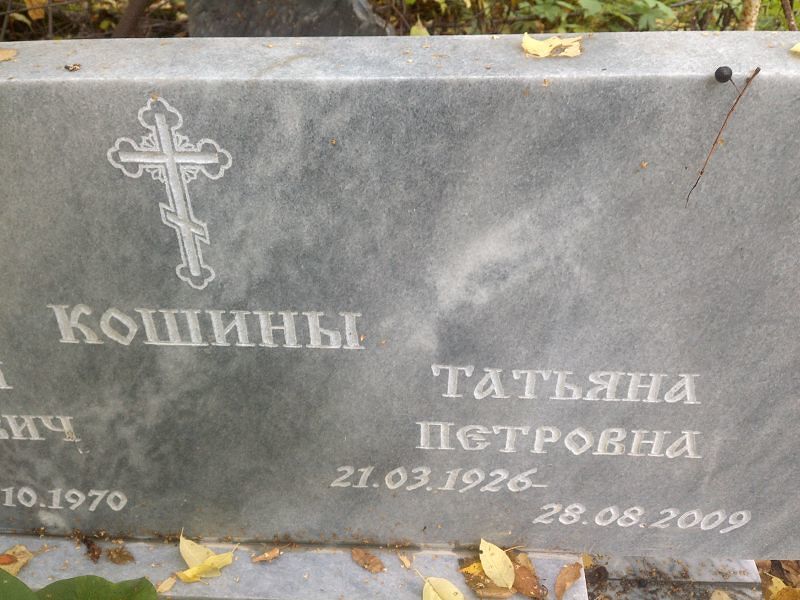 Кошина