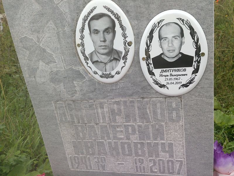 Дмитриков